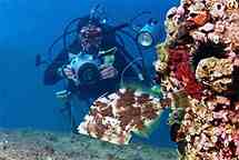 Особенности фотосъемки подводного мира