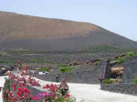 Виноградники острова огнедышащих гор