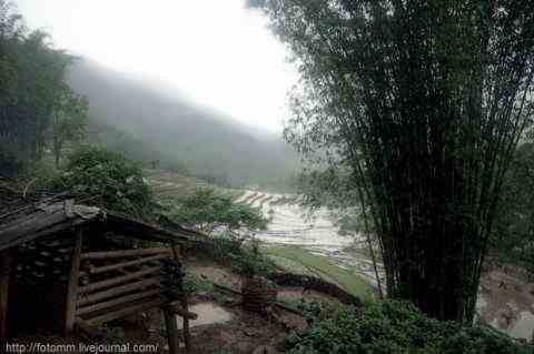 Дождливые сумерки во Вьетнаме