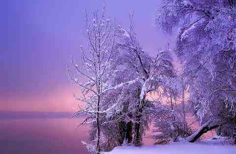 Снежная красота