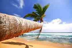 Какие пляжи Шри-Ланки самые лучшие?
