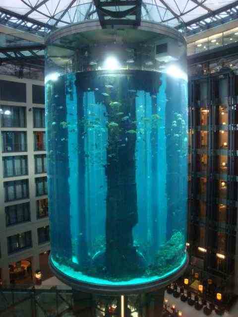 AquaDomе: три тысячи рыб и два аквалангиста