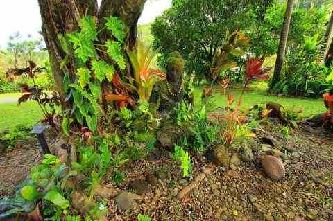 Гавайские сады. Здесь снимали фильм про динозавров