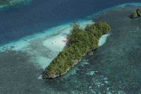 Чудо-острова. Палау