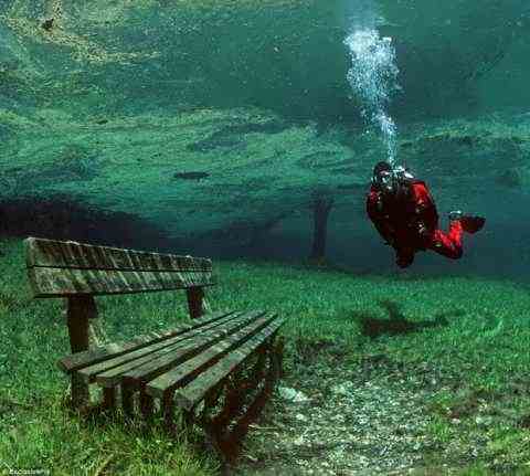 Зелёный подводный парк