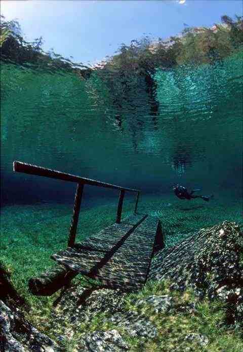Зелёный подводный парк