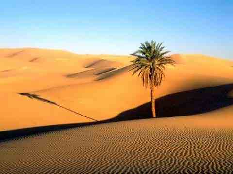 Территория Сахары