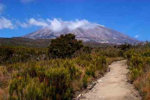 Килиманджаро