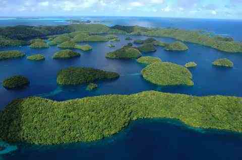 Чудо-острова. Палау